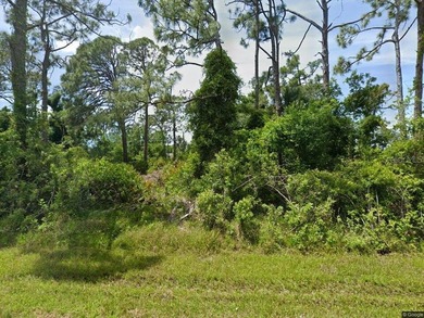 Port Charlotte Waterway Area Lot For Sale in Port Charlotte Florida