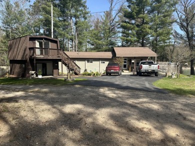 Lake Home For Sale in Baldwin, Michigan
