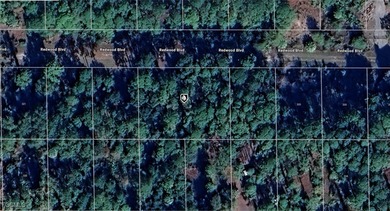 Lake George Lot For Sale in Georgetown Florida