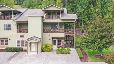 Lake Condo For Sale in Young Harris, Georgia