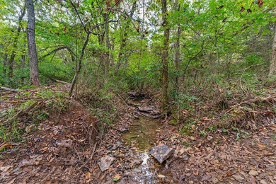 Beautiful property in the heart of Northwest Arkansas in East - photo 11