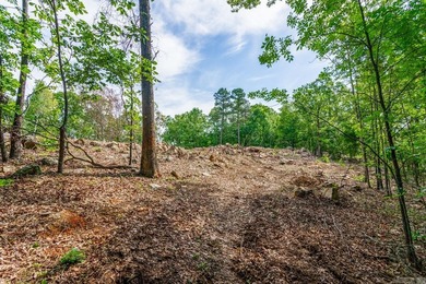 ONLY 2 LOTS REMAINING!!! Premium 3.26 acre cul-de-sac lot in a - photo 1