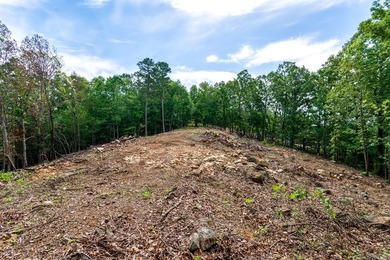 ONLY 2 LOTS REMAINING!!! Premium 3.26 acre cul-de-sac lot in a - photo 2