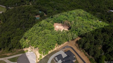ONLY 2 LOTS REMAINING!!! Premium 3.26 acre cul-de-sac lot in a - photo 9