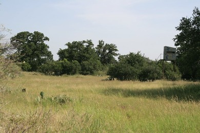 This beautiful hill country ranch consists of 817+/- acres and - photo 7
