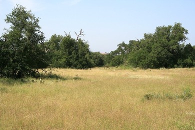 This beautiful hill country ranch consists of 817+/- acres and - photo 9