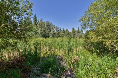 Across the street from Sun Cove Resort and Clear Lake! - photo 8
