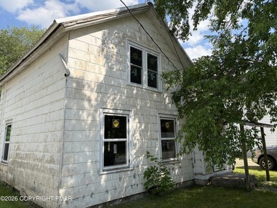 3 Bedroom 1 Bath House for You! Bring your skills and revitalize - photo 50