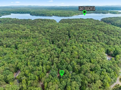 Rare opportunity just 1 mile from Twin Creek boat ramp on Lake - photo 2