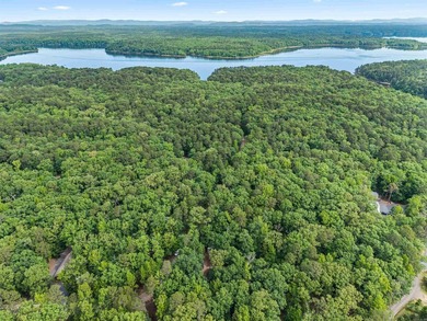 Rare opportunity just 1 mile from Twin Creek boat ramp on Lake - photo 7