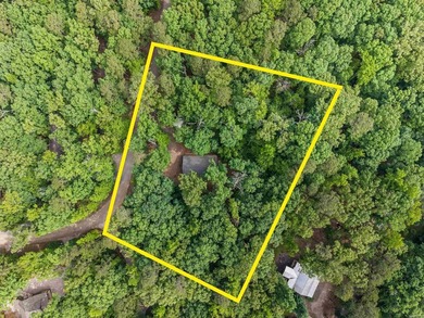 Rare opportunity just 1 mile from Twin Creek boat ramp on Lake - photo 9