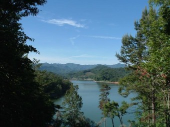 Lake Lot Off Market in Bryson City, North Carolina