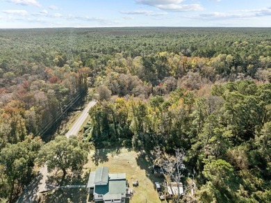 Located in charming McClellanville, SC, this stunning 2-acre lot - photo 14