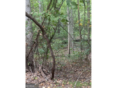 Lake Acreage For Sale in Ranger, Georgia
