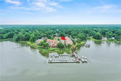 Elizabeth River Condo For Sale in Portsmouth Virginia