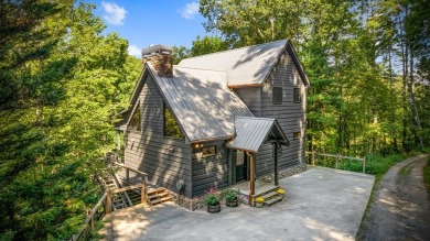Lake Home For Sale in Morganton, Georgia