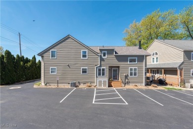 Lake Condo For Sale in Vermilion, Ohio