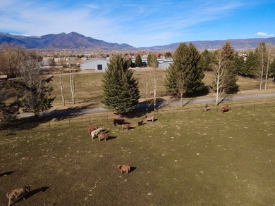 This Beautiful Property is minutes from downtown Midway, and - photo 15