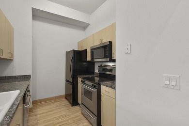Priced $25,000 below the 2025 appraised value! Stylish 1 BR - photo 10