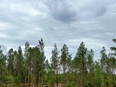 T-5, Forested land in managed, planted, pine and native - photo 2