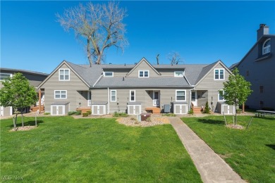 Lake Condo For Sale in Vermilion, Ohio