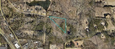 Beautiful 11.24 acre lot located in desirable Oakgrove - photo 1