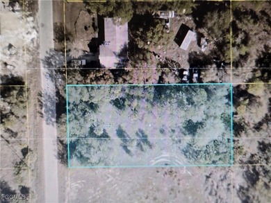 Lehigh Acres Area Lot For Sale in Lehigh Acres Florida