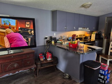 (private lake, pond, creek) Home For Sale in New Smyrna Beach Florida