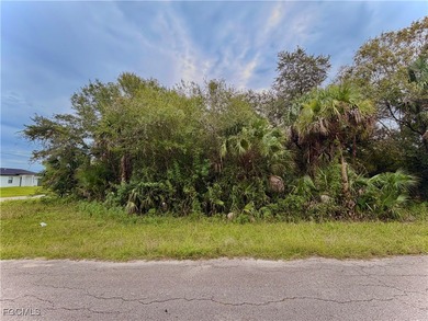 Lehigh Acres Area Lot For Sale in Lehigh Acres Florida