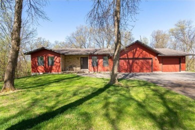 Lake Home For Sale in Lynden Twp, Minnesota