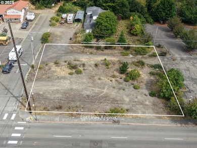 Joe Ney Slough Lot For Sale in Coos Bay Oregon