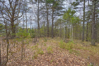 Cozy 2 BR, 2 Bath log sided home with knotty pine interior on a - photo 21