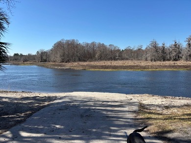 Located in Hog valley area...land with more trees than people - photo 4
