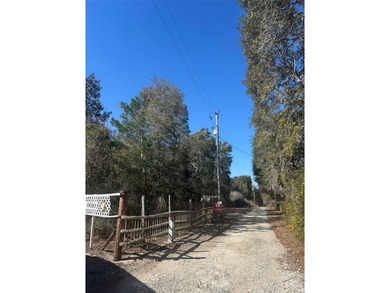 Located in Hog valley area...land with more trees than people - photo 5
