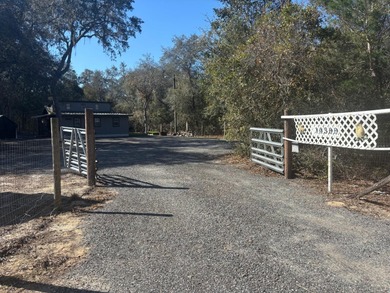 Located in Hog valley area...land with more trees than people - photo 6