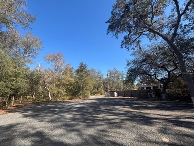 Located in Hog valley area...land with more trees than people - photo 7