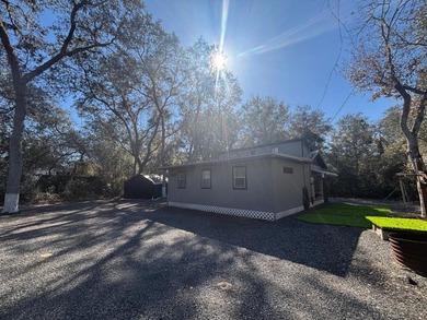 Located in Hog valley area...land with more trees than people - photo 8