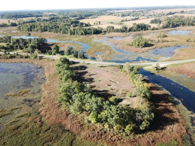 Norvell Lake Lot For Sale in Brooklyn Michigan