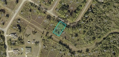 Lehigh Acres Area Lot For Sale in Lehigh Acres Florida