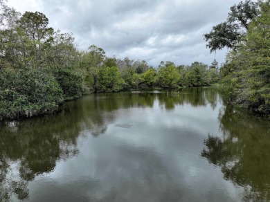 Lake Acreage Sale Pending in Prairieville, Louisiana