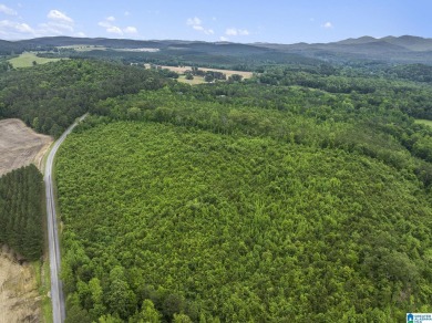 Lake Acreage For Sale in Centre, Alabama