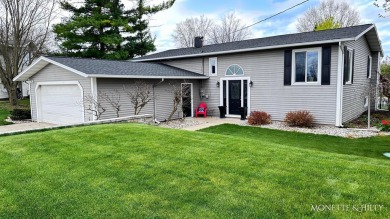 Lake Home For Sale in Fremont, Michigan