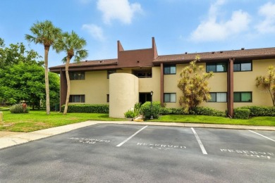 Lake Condo For Sale in St. Petersburg, Florida