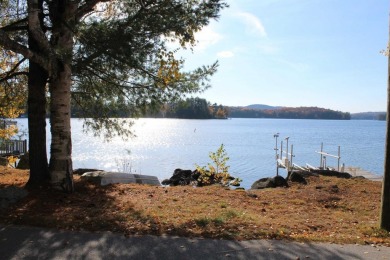 Lake Home For Sale in Newbury, New Hampshire