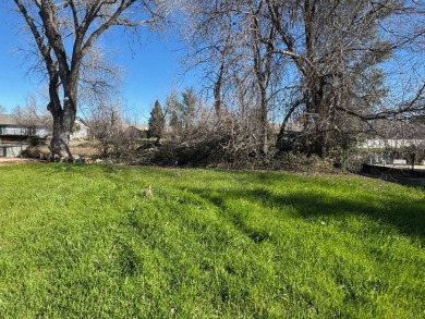 Lake Lot For Sale in Cottonwood, California