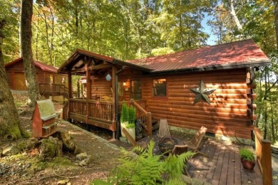 Cherry Log Lake Home For Sale in Cherry Log Georgia