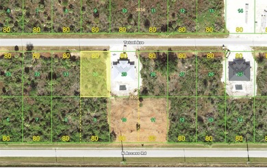 80x125 lot located in Port Charlotte. Current use is vacant - photo 1