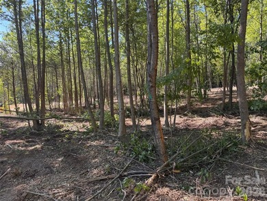 HOBBS CREEK RESERVE !!! This is a 36 lot Subdivision with - photo 20