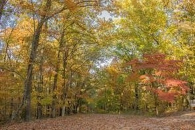 Lake Loch Lomond Lot For Sale in Bella Vista Arkansas