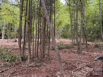 HOBBS CREEK RESERVE !!! This is a 36 lot Subdivision with - photo 21